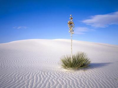 Khám phá vẻ đẹp huyền diệu của những sa mạc nổi tiếng